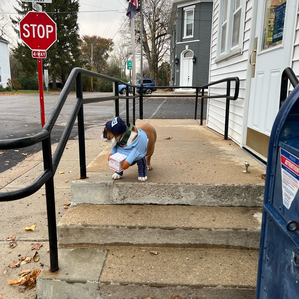 Extra Shipping Label - Picture 9 of 13